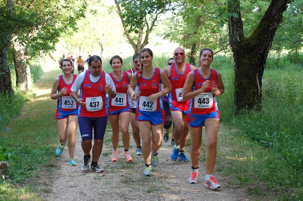 Campestre Oasi di Ninfa (24/05/2014) 027