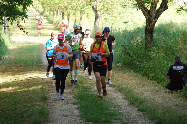 Campestre Oasi di Ninfa (24/05/2014) 028