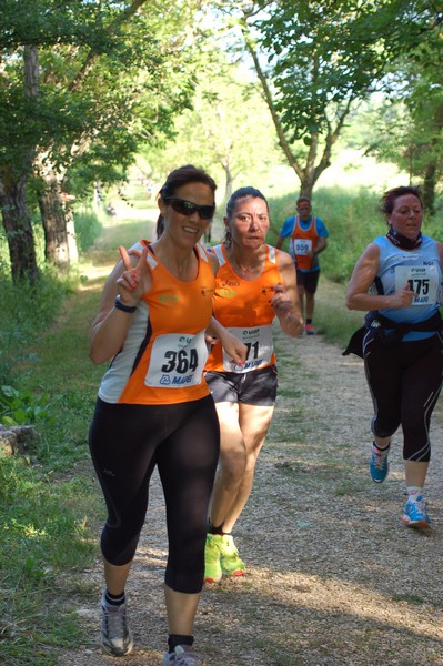 Campestre Oasi di Ninfa (24/05/2014) 052