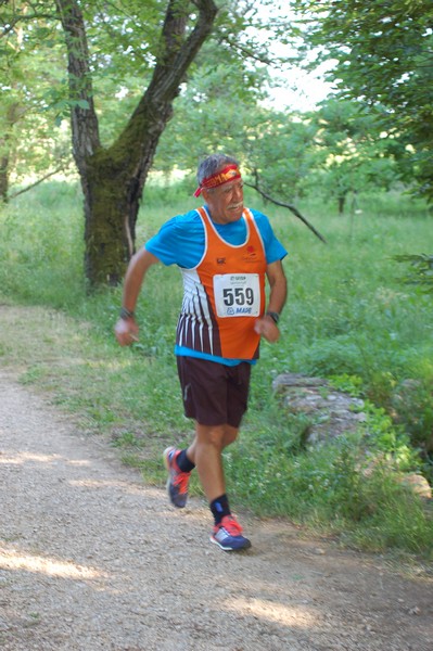 Campestre Oasi di Ninfa (24/05/2014) 055