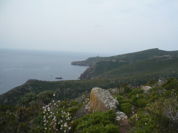 Capraia Wild Trail (06/04/2014) 070