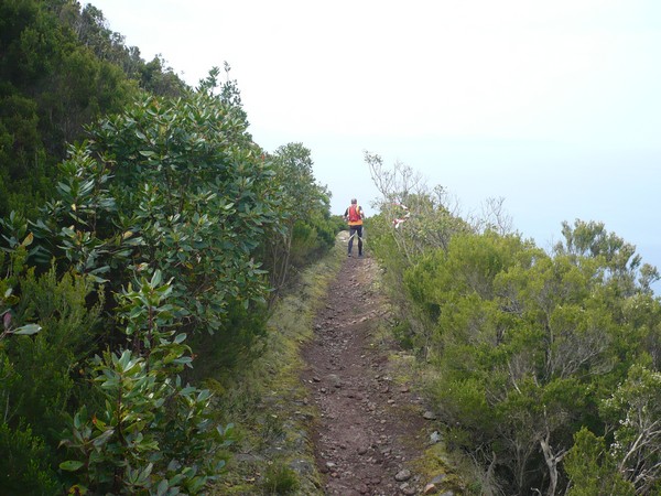 Capraia Wild Trail (06/04/2014) 078