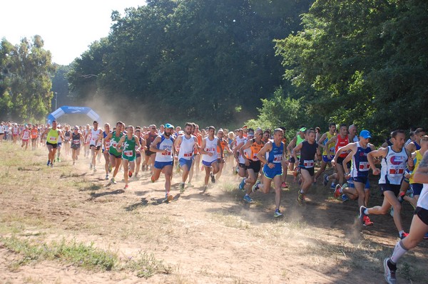 Trofeo Città di Nettuno (02/06/2015) 00025