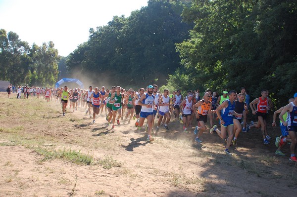 Trofeo Città di Nettuno (02/06/2015) 00026