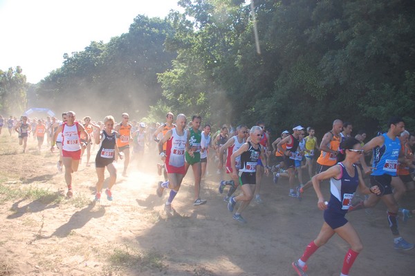 Trofeo Città di Nettuno (02/06/2015) 00032