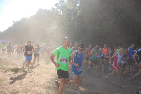 Trofeo Città di Nettuno (02/06/2015) 00067