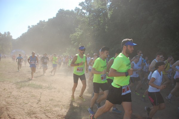 Trofeo Città di Nettuno (02/06/2015) 00075