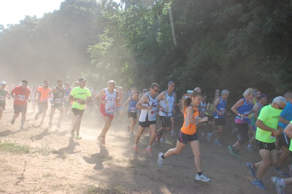 Trofeo Città di Nettuno (02/06/2015) 00083