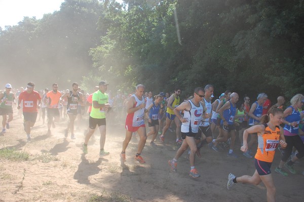 Trofeo Città di Nettuno (02/06/2015) 00084