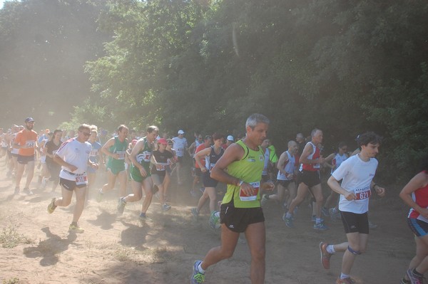 Trofeo Città di Nettuno (02/06/2015) 00092