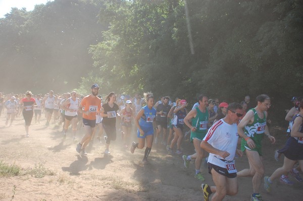 Trofeo Città di Nettuno (02/06/2015) 00094