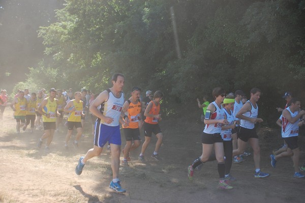 Trofeo Città di Nettuno (02/06/2015) 00104