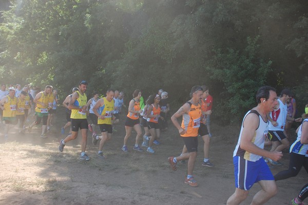 Trofeo Città di Nettuno (02/06/2015) 00106