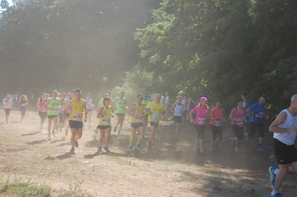 Trofeo Città di Nettuno (02/06/2015) 00111