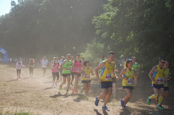 Trofeo Città di Nettuno (02/06/2015) 00113