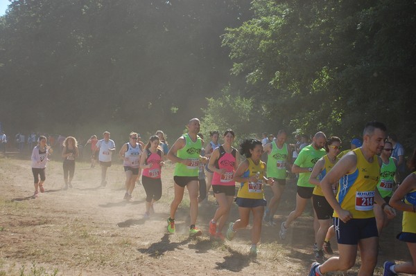 Trofeo Città di Nettuno (02/06/2015) 00114