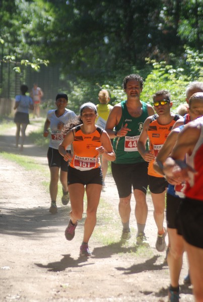 Trofeo Città di Nettuno (02/06/2015) 00111