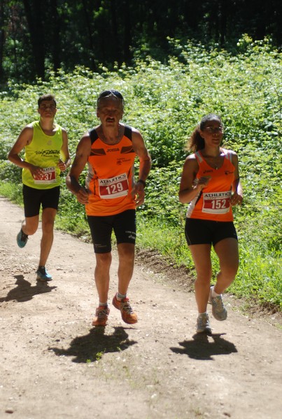 Trofeo Città di Nettuno (02/06/2015) 00171