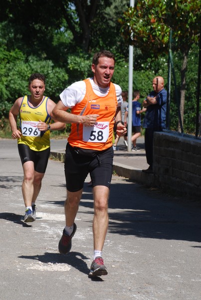 Maratonina di Villa Adriana (31/05/2015) 00063