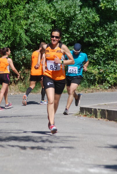 Maratonina di Villa Adriana (31/05/2015) 00068