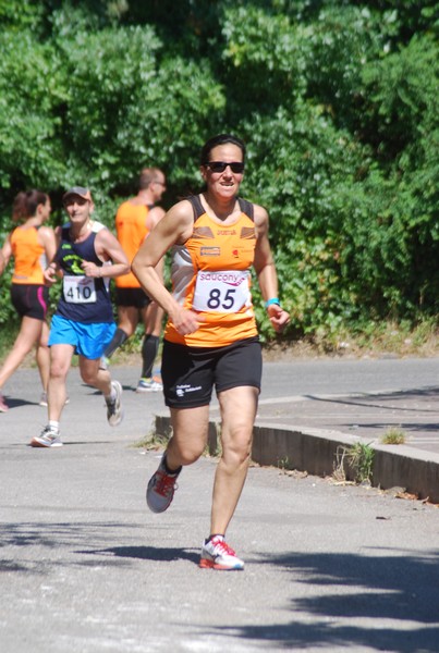 Maratonina di Villa Adriana (31/05/2015) 00070