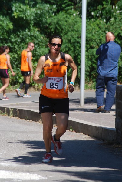 Maratonina di Villa Adriana (31/05/2015) 00072