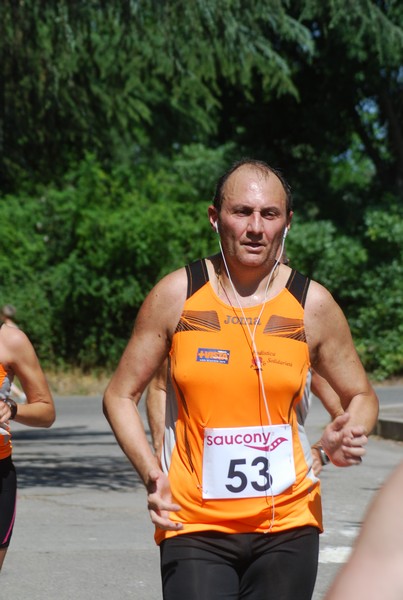 Maratonina di Villa Adriana (31/05/2015) 00085