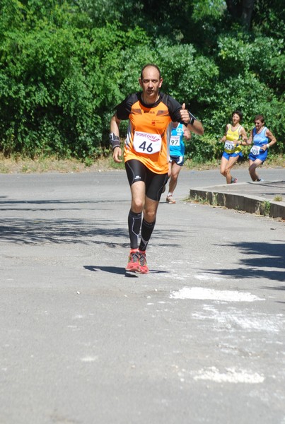 Maratonina di Villa Adriana (31/05/2015) 00090