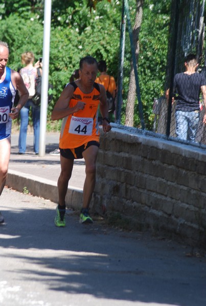 Maratonina di Villa Adriana (31/05/2015) 00099