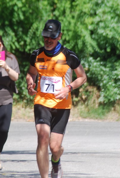 Maratonina di Villa Adriana (31/05/2015) 00135
