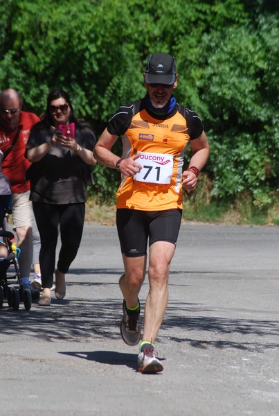 Maratonina di Villa Adriana (31/05/2015) 00137