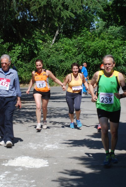 Maratonina di Villa Adriana (31/05/2015) 00158