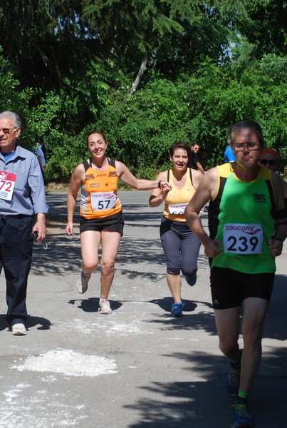 Maratonina di Villa Adriana (31/05/2015) 00159