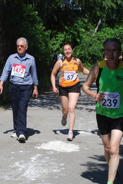 Maratonina di Villa Adriana (31/05/2015) 00160