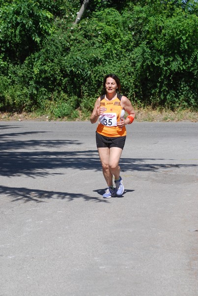 Maratonina di Villa Adriana (31/05/2015) 00165