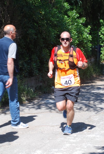 Maratonina di Villa Adriana (31/05/2015) 00171