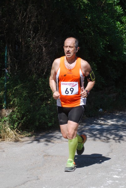 Maratonina di Villa Adriana (31/05/2015) 00186