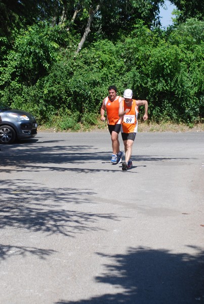 Maratonina di Villa Adriana (31/05/2015) 00191