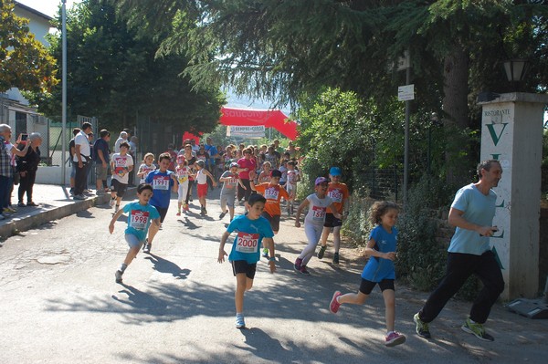 Maratonina di Villa Adriana (31/05/2015) 00044
