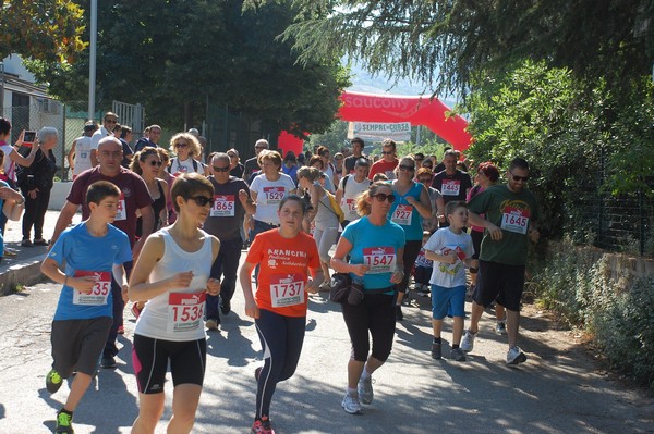 Maratonina di Villa Adriana (31/05/2015) 00071