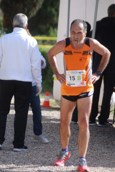 Maratona di Roma a Staffetta (17/10/2015) 00141