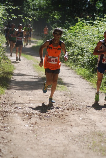 Trofeo Città di Nettuno (02/06/2015) 00047