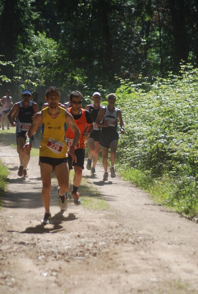 Trofeo Città di Nettuno (02/06/2015) 00146