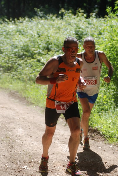 Trofeo Città di Nettuno (02/06/2015) 00161