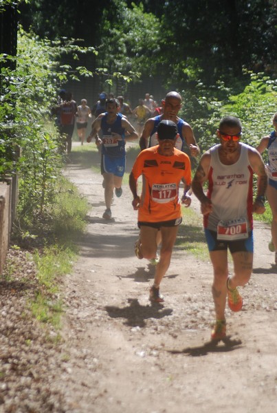 Trofeo Città di Nettuno (02/06/2015) 00187