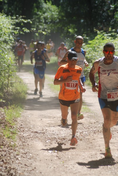 Trofeo Città di Nettuno (02/06/2015) 00188