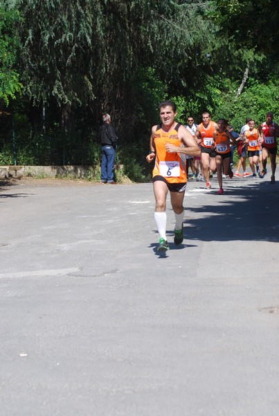 Maratonina di Villa Adriana (31/05/2015) 00048