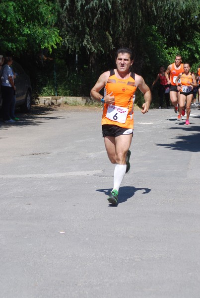 Maratonina di Villa Adriana (31/05/2015) 00050