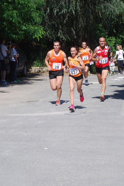 Maratonina di Villa Adriana (31/05/2015) 00054