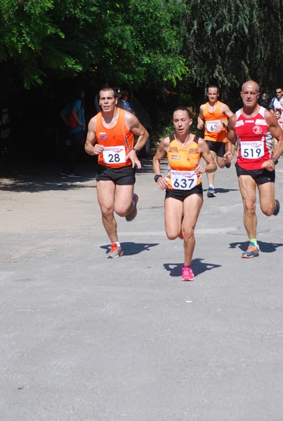 Maratonina di Villa Adriana (31/05/2015) 00056